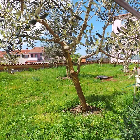 Apartamento In - Istrien 27201 Pula